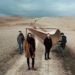 FAST ANIMALS AND SLOW KIDS: Annunciata l’ultima parte del Tour di presentazione di “Forse non è la felicità”