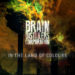 BRAIN DISTILLERS CORPORATION: E’ inline il video ufficiale “In The Land Of Colours”