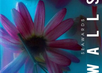 SEAWARDS: il nuovo singolo “WALLS” e live al forum di Assago per aprire le uniche due date italiane dei THE SCRIPT
