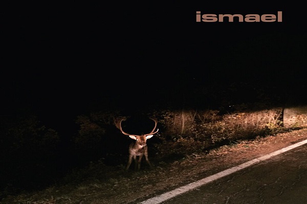 ISMAEL: Disponibile il nuovo album “QUATTRO” in formato fisico e digitale