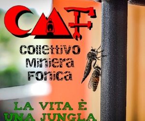 COLLETTIVO MINIERA FONICA(CMF): Online il singolo di debutto “LA VITA È UNA JUNGLA”
