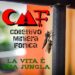 COLLETTIVO MINIERA FONICA(CMF): Online il singolo di debutto “LA VITA È UNA JUNGLA”