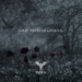 INIRA: Fuori dal 5 ottobre il nuovo album “Gray Painted Garden”, 11 tracce cariche di riff taglienti e melodie accattivanti.