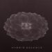DAHLìA: Esce oggi “Hybrid Essence” l’album d’esordio del trio, otto canzoni originali che descrivono paesaggi, racconti di viaggi e storie di amori fragili.