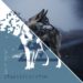 STARSICK SYSTEM: Il nuovo singolo e video di “Half. Done” quinto e ultimo estratto dall’EP HALF