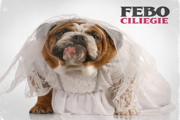 FEBO: Oggi esce in radio e in digital download il nuovo singolo “Ciliege” con in contemporanea online anche il videoclip.