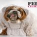 FEBO: Oggi esce in radio e in digital download il nuovo singolo “Ciliege” con in contemporanea online anche il videoclip.