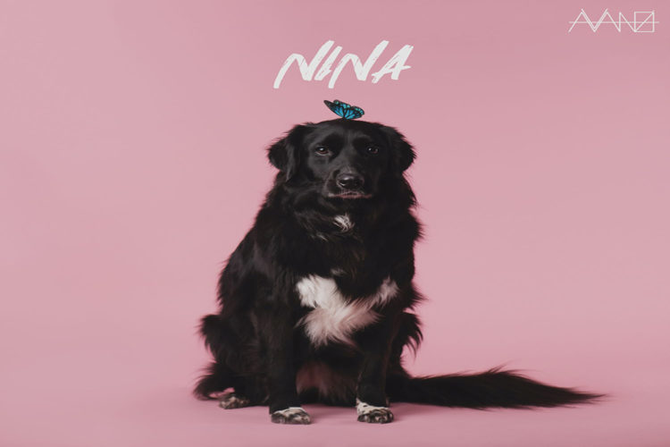 AVANZI: È disponibile in digital download e in streaming “Nina”, il nuovo singolo del cantautore milanese