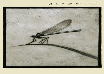 GIANNI MAROCCOLO: Esce il 17 dicembre per Contempo Records “ALONE vol. III – Palude” con le illustrazioni di Marco Cazzato e i racconti di Mirco Salvadori e Nina Maroccolo