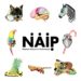 N.A.I.P.: La solitudine e l’emarginazione sono raccontate nell’ultimo video di “All’alba di questo Natale”, in uscita oggi, lunedì 9 dicembre.