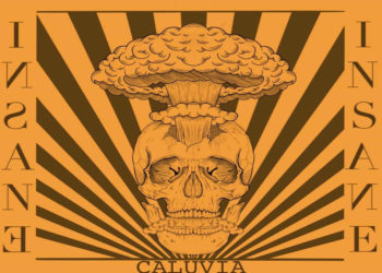 CALUVIA: E’ uscito il 22 marzo “INSANE”, il secondo album della stoner band toscana, per Taxi Drivers Record