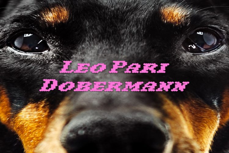 LEO PARI: Online il brano “DOBERMANN” il nuovo singolo da oggi disponibile in digitale