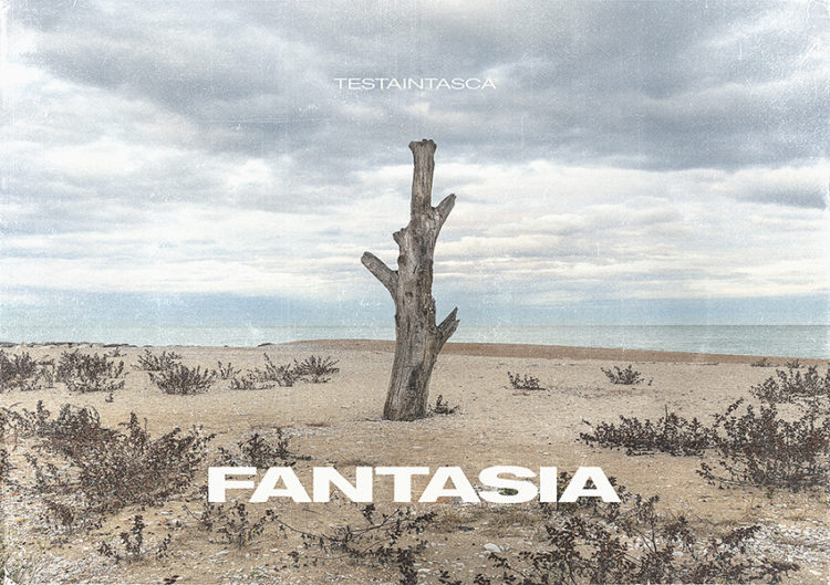 TESTAINTASCA: Fuori i nuovo album “FANTASIA” segna ufficialmente il ritorno dei fratelli Fabio e Giorgio Conte