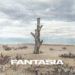 TESTAINTASCA: Fuori i nuovo album “FANTASIA” segna ufficialmente il ritorno dei fratelli Fabio e Giorgio Conte