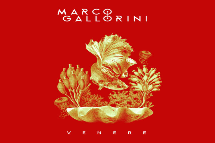 MARCO GALLORINI: Rock e bellezza è l’essenza del nuovo singolo “Venere”