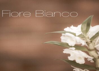 LU&ME: Svelano il nuovo singolo ‘Fiore Bianco’ un inno alla speranza e alla voglia di rinascita