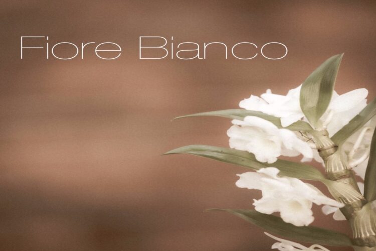 LU&ME: Svelano il nuovo singolo ‘Fiore Bianco’ un inno alla speranza e alla voglia di rinascita