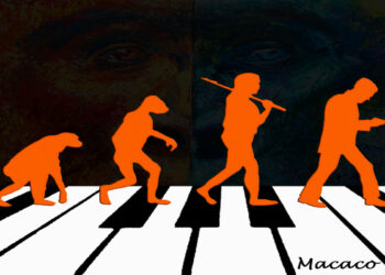 TERRAMADRE: Online “Macaco” il nuovo singolo della band emiliana su tutte le piattaforme digitali-disponibile a partire da Giovedì 23 luglio