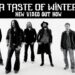 WITCHWOOD: Fuori “A Taste of Winter” il nuovo video clip della band faentina