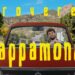ROVERE: Esce oggi il video di “mappamondo” il nuovo singolo della band indie bolognese che nel 2019 ha totalizzato oltre 20 milioni di streams e un tour con più di 60 date