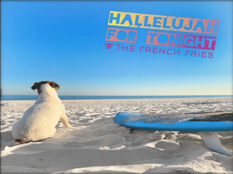 THE FRENCH FRIES: Fuori “HALLELUJAH FOR TONIGHT” il nuovo singolo per sorridere all’estate 2020 del duo Danilo Tasco & Mia Meneghini