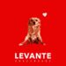 GRACE N KAOS: Esce oggi “Levante” il nuovo singolo della band alternative rock veneta dedicato alla cantautrice italiana