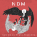 NDM: E’ uscito “NON SO SE AVETE PRESENTE” il nuovo Ep del’indie rock band romana.