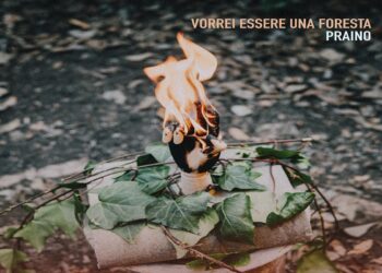 “Vorrei essere una foresta” è il nuovo singolo e video di PRAINO.