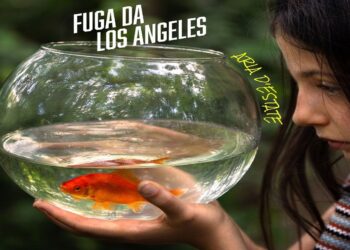 FUGA DA LOS ANGELES: “ARIA D’ESTATE” la rock band torna con un nuovo singolo che trasforma l’estate in uno stato d’animo.