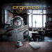 ORGANICA: E’ uscito su bandcamp “Strane Visioni di Giorni Normali Parte 1” il nuovo album della rock band.