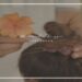 “Settembre”, fuori il nuovo singolo di ALESSANDRA RUGGER.