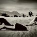 “Paura”, il terzo singolo dei TALES OF SOUND.