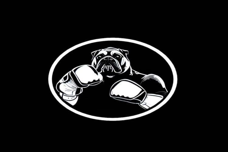 “Underdogs” il nuovo EP di STON e Seabass.