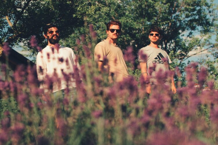 WISDOM TREE: “The moderate flow” una traccia che racchiude ricerca musicale ed artistica.