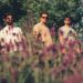 WISDOM TREE: “The moderate flow” una traccia che racchiude ricerca musicale ed artistica.