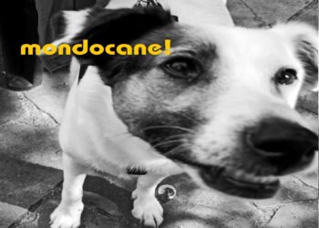 “Mondocane!” fuori l’omonimo singolo del duo indietronico.