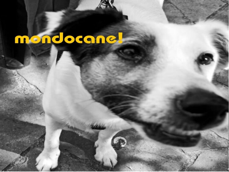 “Mondocane!” fuori l’omonimo singolo del duo indietronico.