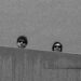 THE ELEPHANT: “These shield will not protect us” il nuovo album oscuro, desertico, ipnotico.