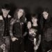 ICE WINGS: “Cola malediction” attenti a non farla cadere.