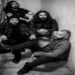 STONED TURTLE: “Concrete in My Veins” incrinare il cemento che immobilizza.